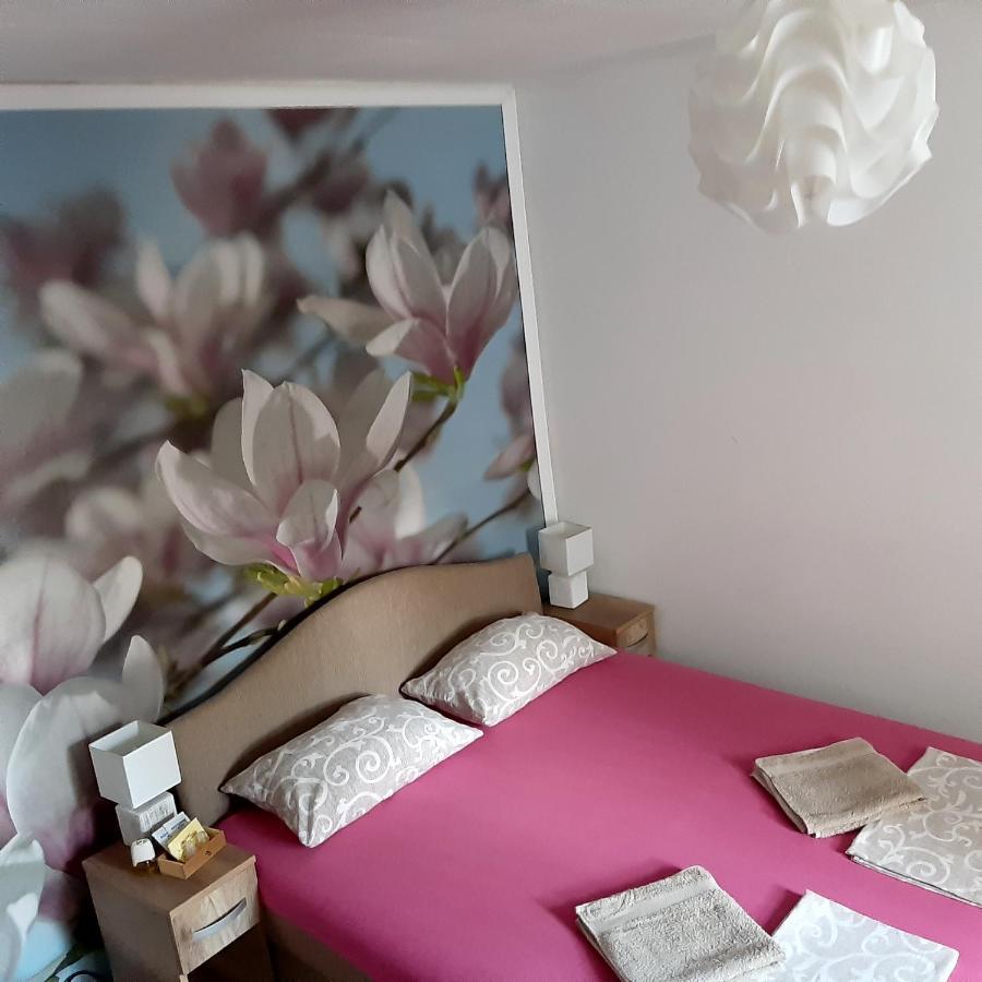 Vicky 1 Apartment Котор Екстериор снимка